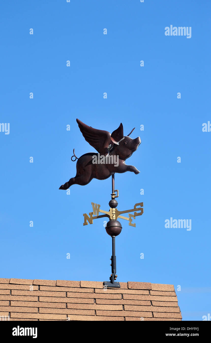 A vertical shot of a flying pig weather vane Stock Photo
