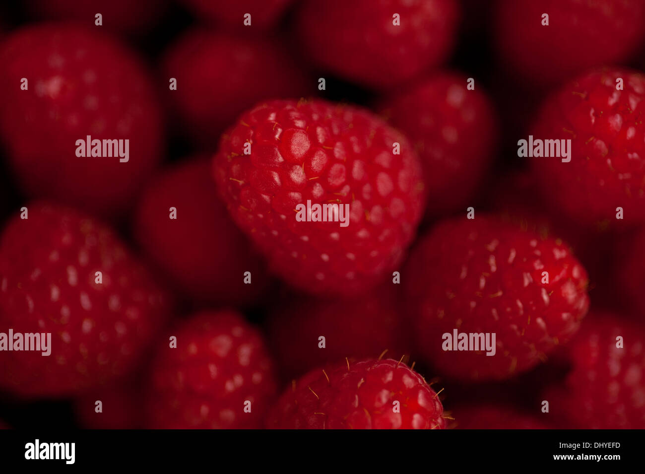 Bowl of raspberries on wood table Stock Photo