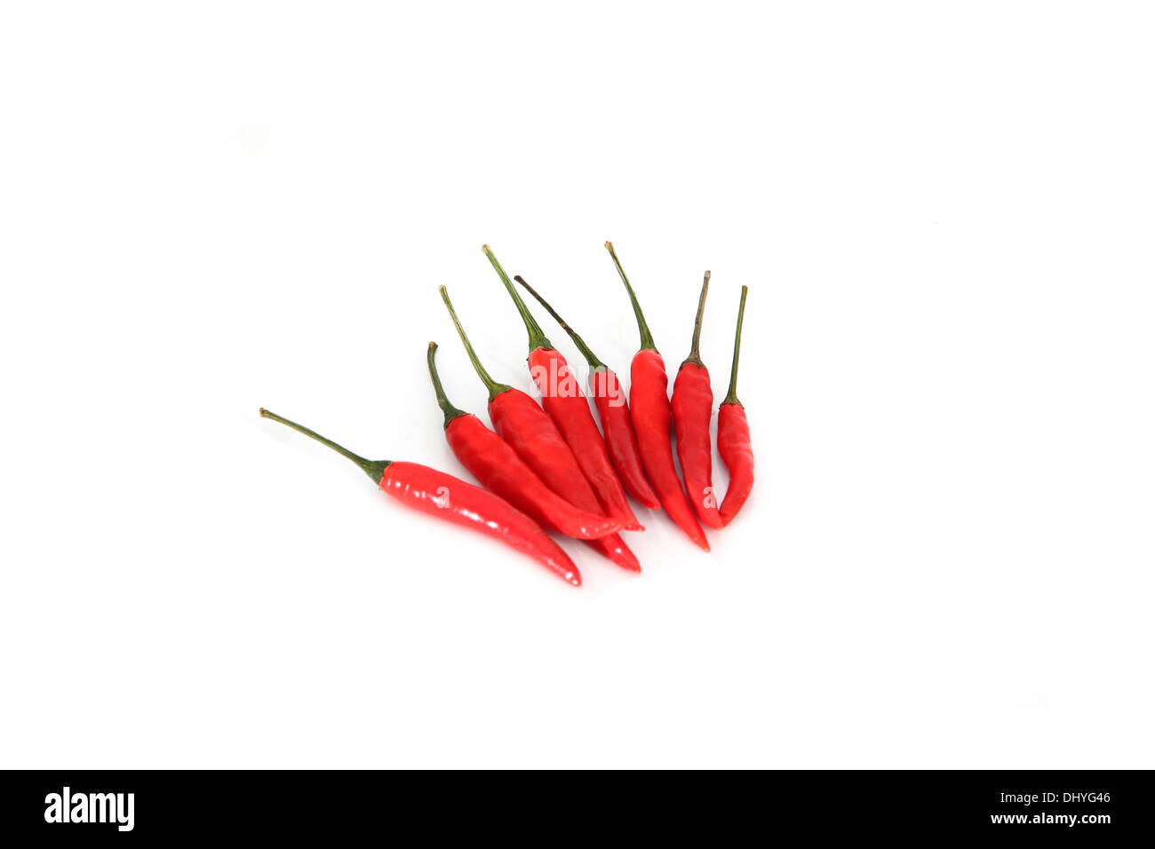 Spicy red hot pepper on the white background. Stock Photo