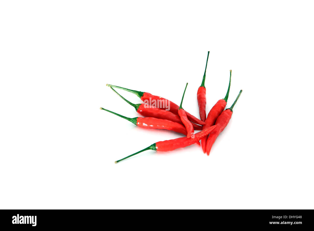 Spicy red hot pepper on the white background. Stock Photo