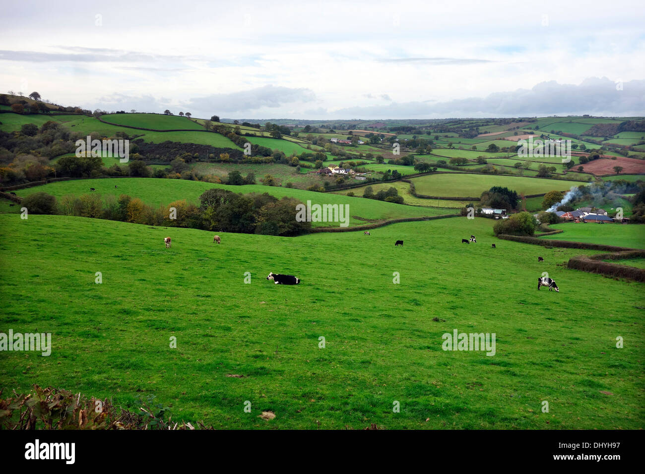 Undulating Mid Devon UK lanscape - scenery in late autumn near Cheriton Fitzpaine between Crediton and Tiverton Stock Photo