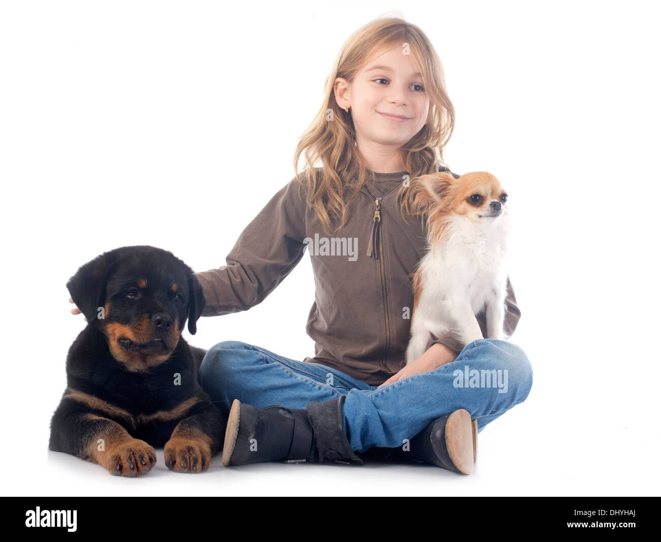 child and dogs in front of white background Stock Photo