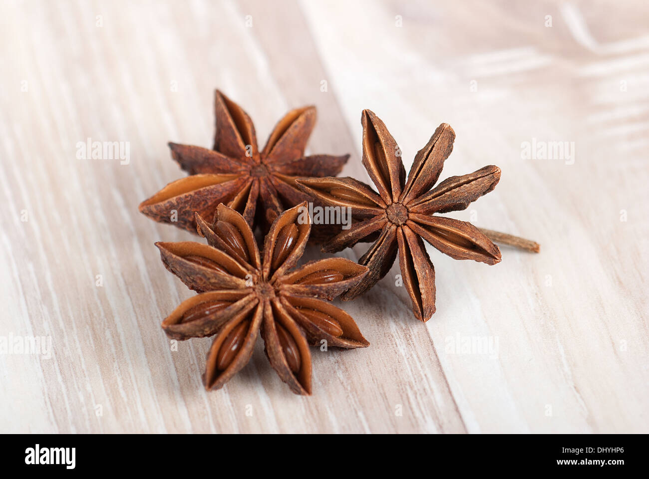 Star anise, chinese anise, badian, Illicium verum Stock Photo Alamy