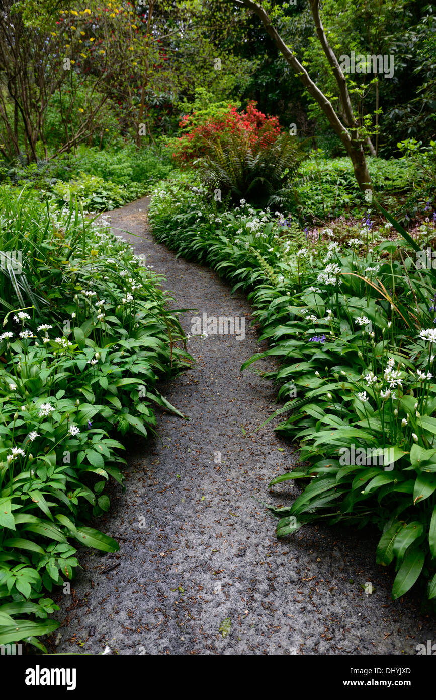 Lead Path Tree Shaded path hi-res stock photography and images - Alamy