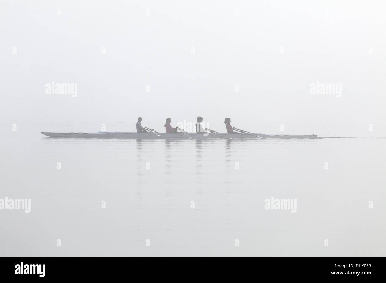 Castle Semple Visitor Centre, Lochwinnoch, Renfrewshire, Scotland, UK, Sunday, 17th November, 2013. A quad scull rowing team training in the early morning mist on Castle Semple Loch in Clyde Muirshiel Regional Park Stock Photo