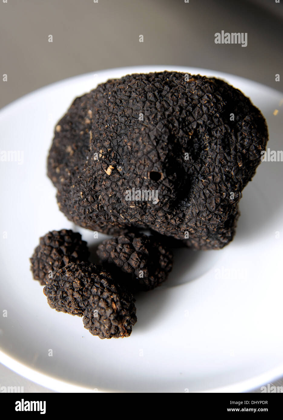 Truffles uk hires stock photography and images Alamy