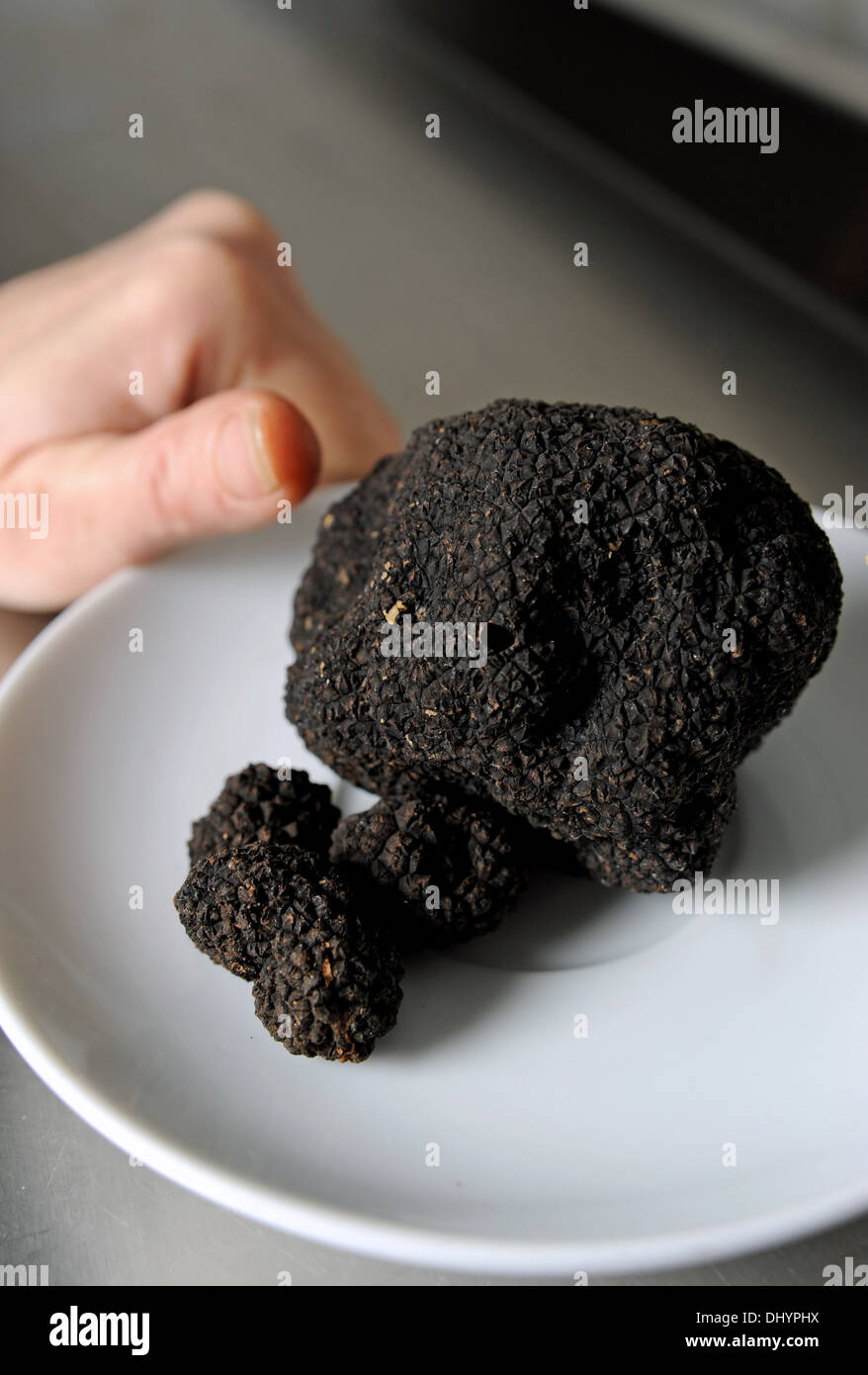 Black perigord truffle hires stock photography and images Alamy