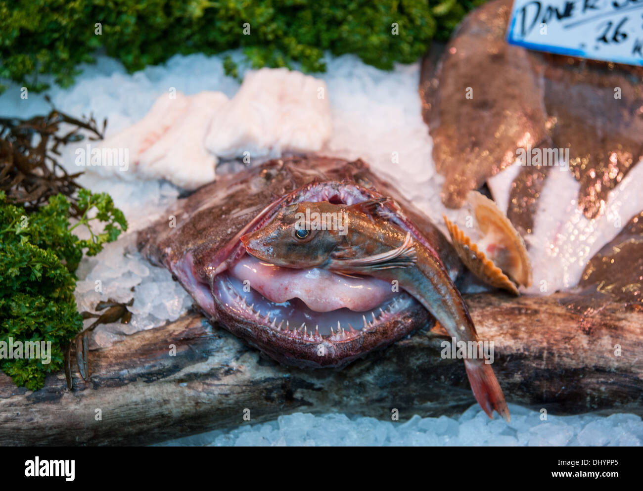 Wet fish stall with a monkfish and gurnard in Borough Market London SE1 UK Stock Photo