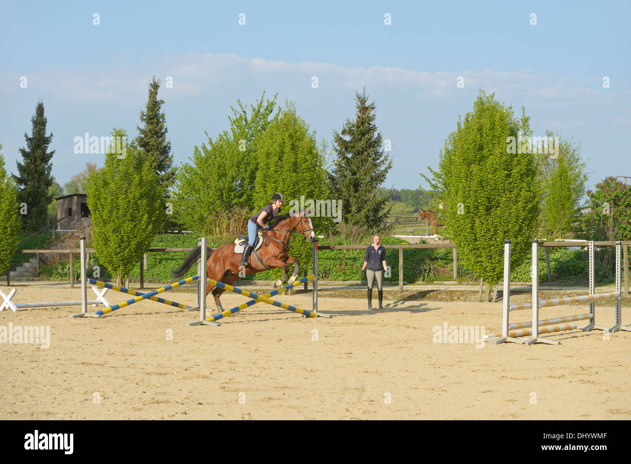 Beginner's jumping lesson Stock Photo Alamy