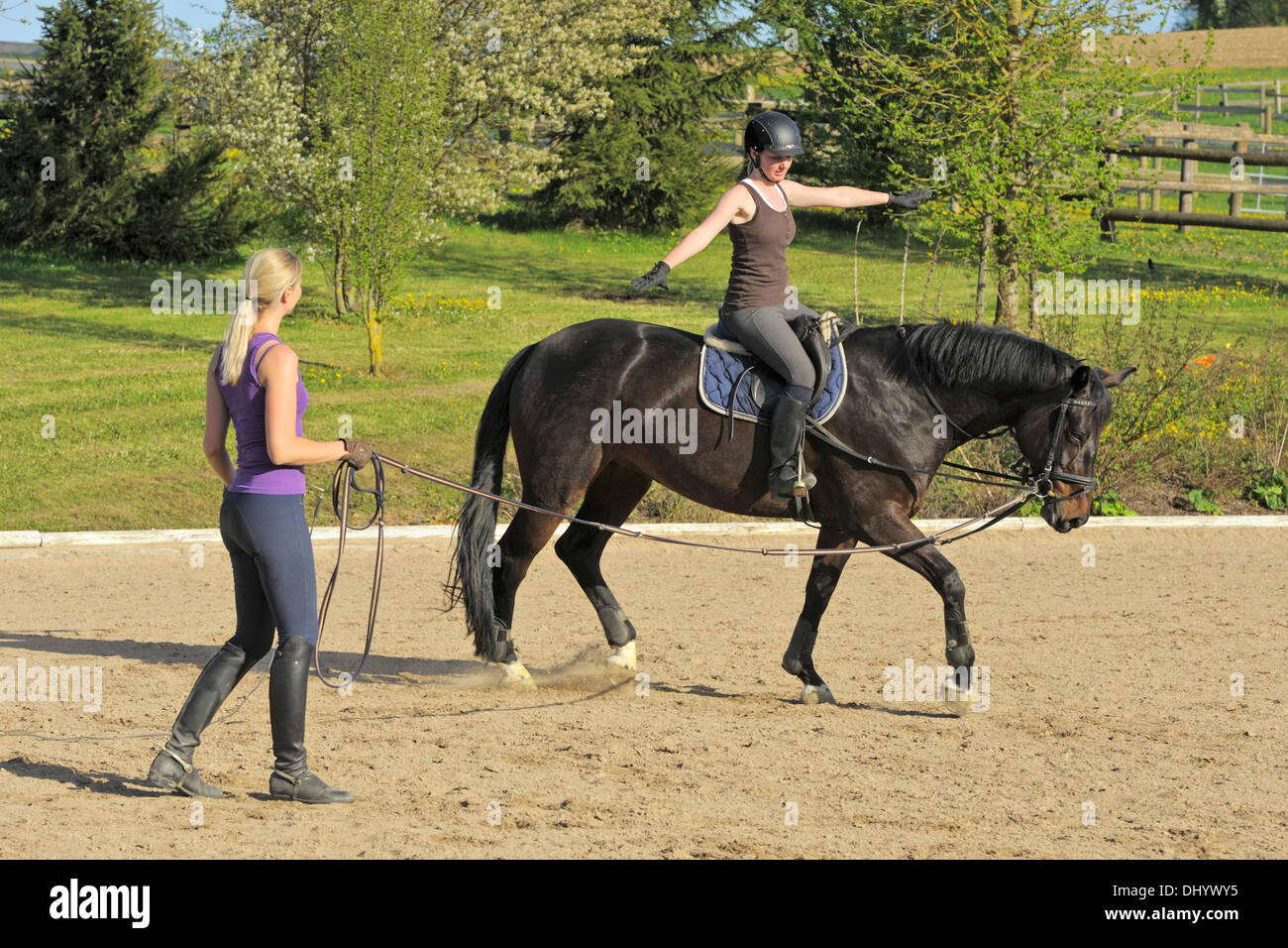 Lunging the adult rider book understand you You tell Lunging the adult rider book right! excellent