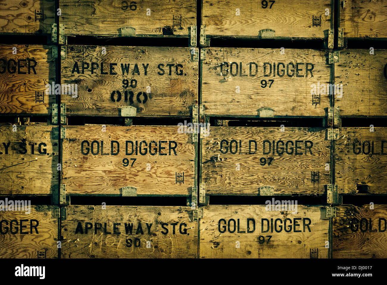 Crates at an apple orchard, Washington State, USA Stock Photo