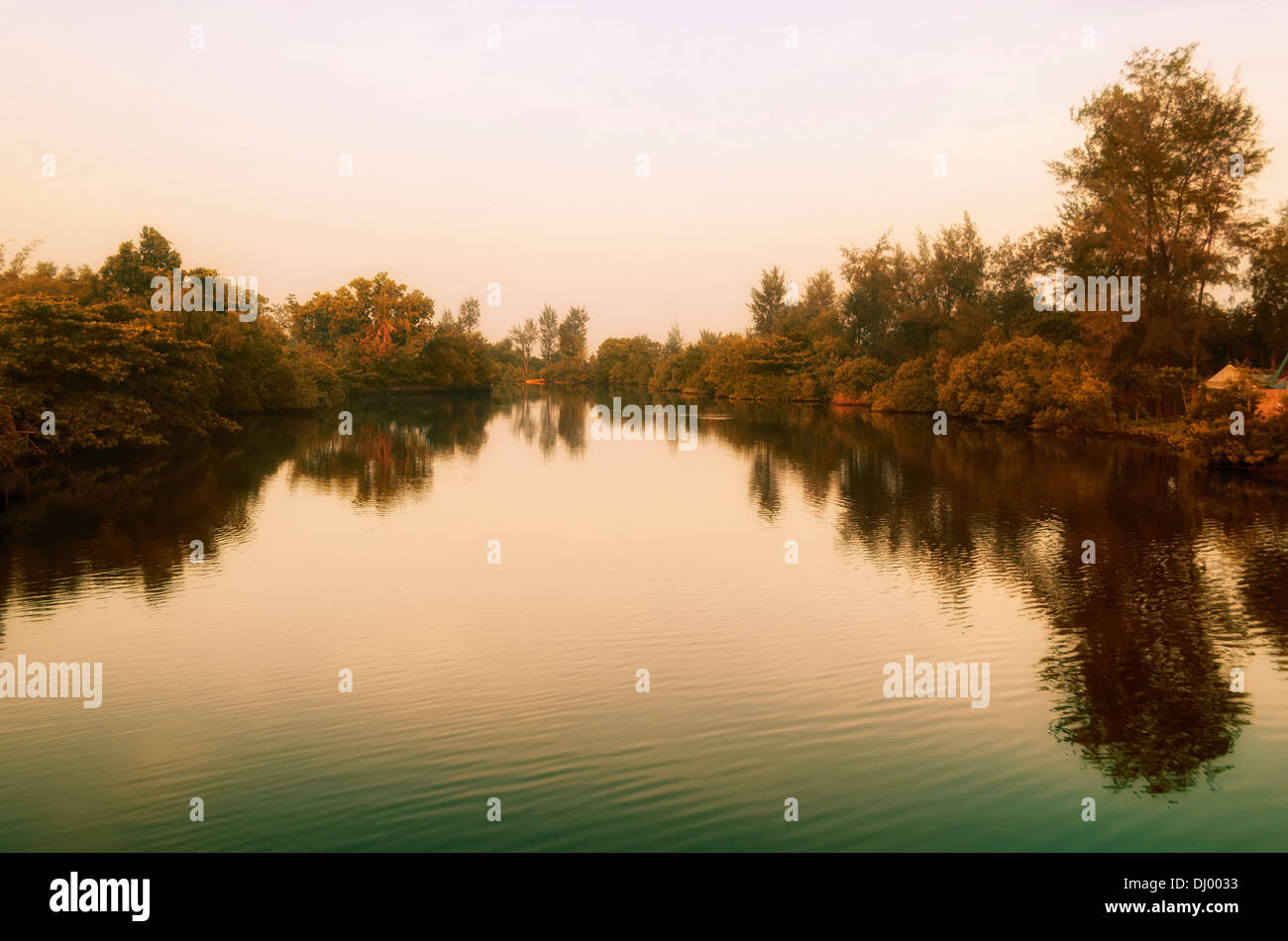 Tropical riverbank hi-res stock photography and images - Alamy