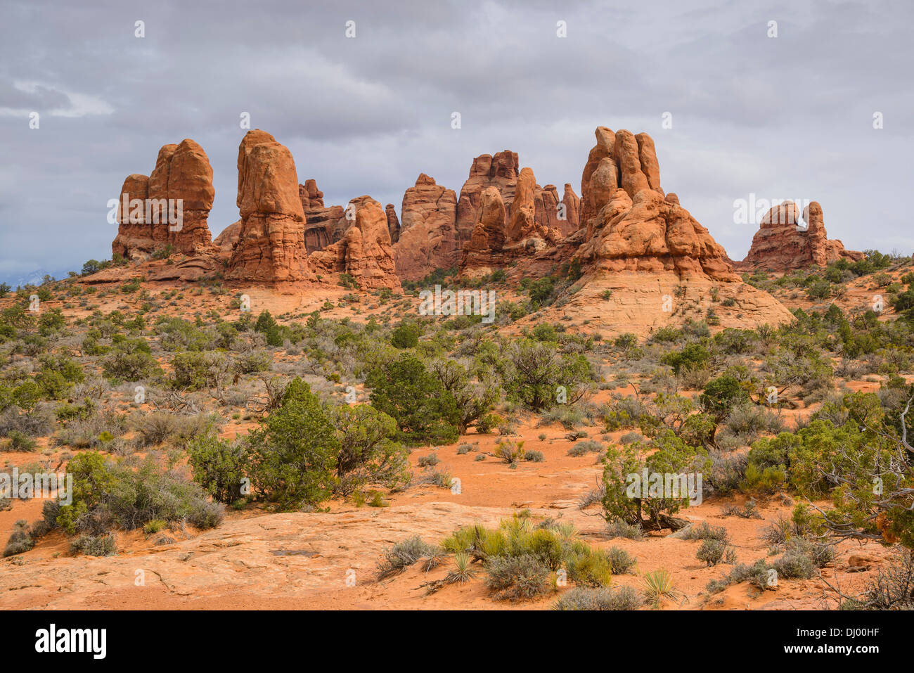 Rock formations near Windows Section, Arches National Park, Utah, USA Stock Photo