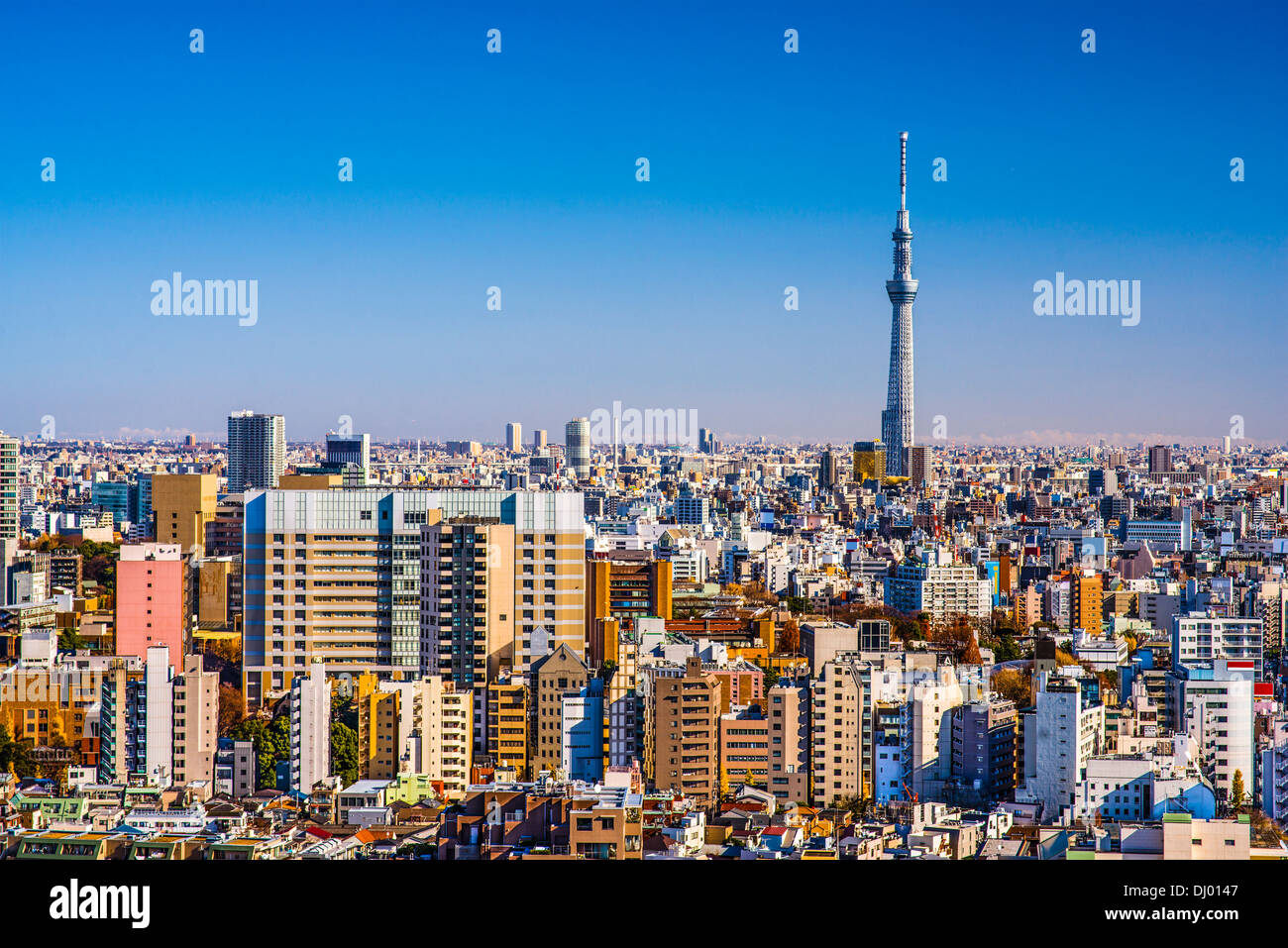 Tokyo, Japan afternoon skyline with Tokyo Sky Tree. Stock Photo