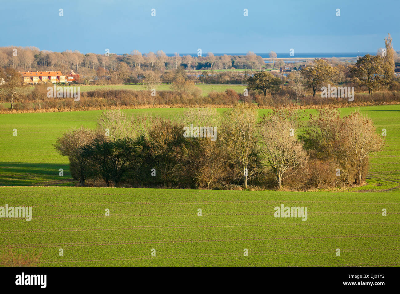 beautiful landscape of green farmland and blue sky in autumn Stock ...