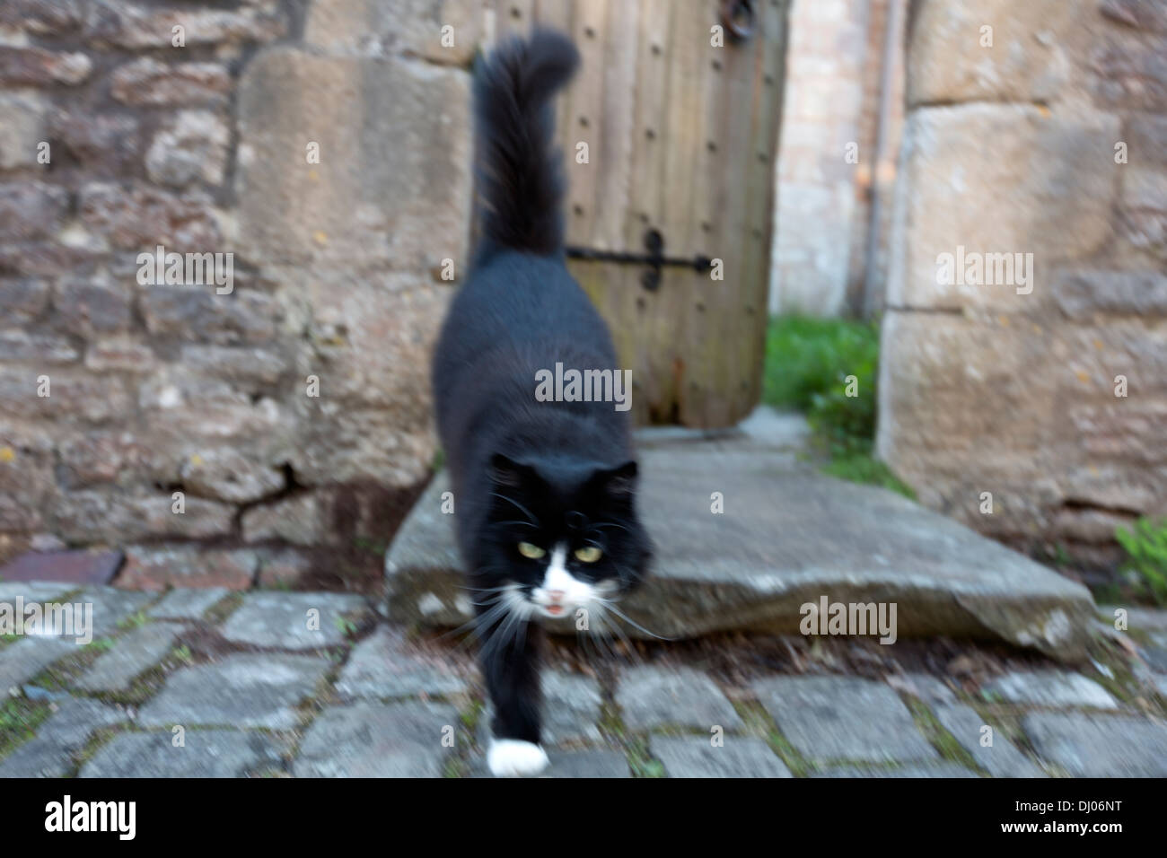 Vicars close wells somerset england hires stock photography and images