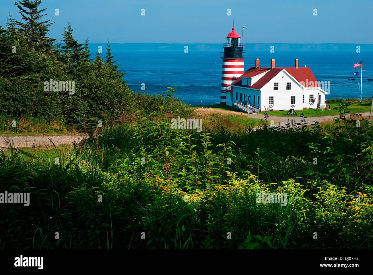 West Quoddy Head Lighthouse with sunlit wildflowers in the foreground. It is located on the United States border with Canada. Stock Photo