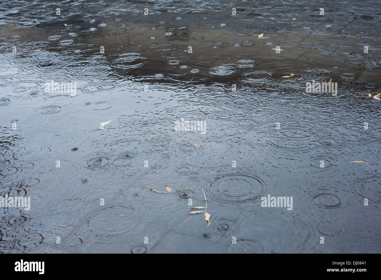 autumn rain water texture with drops on pavement Stock Photo