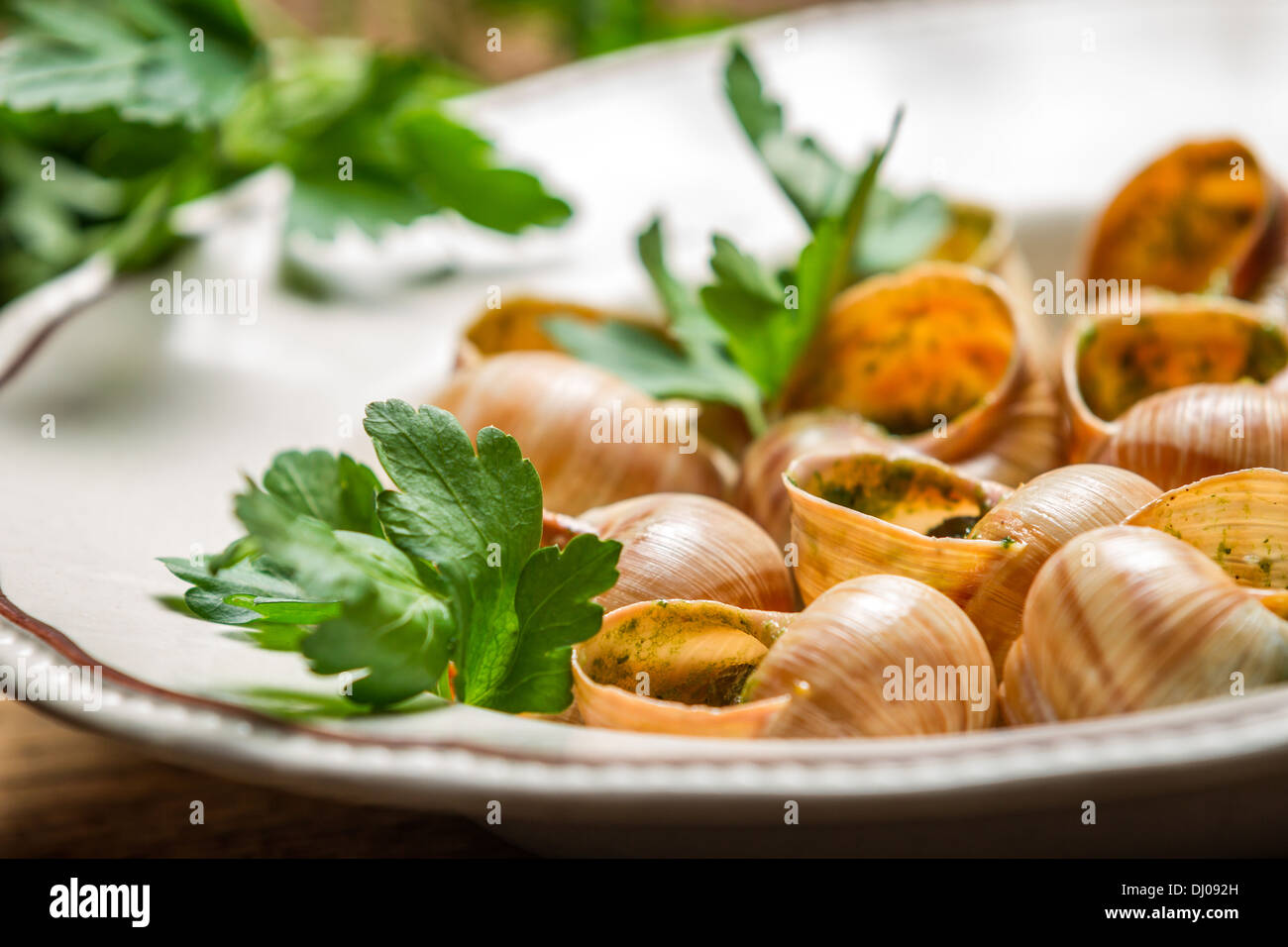 Closeup of baked snails with garlic butter Stock Photo - Alamy