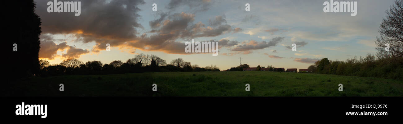 amber sunset clouds field trees grass  blue sky Stock Photo