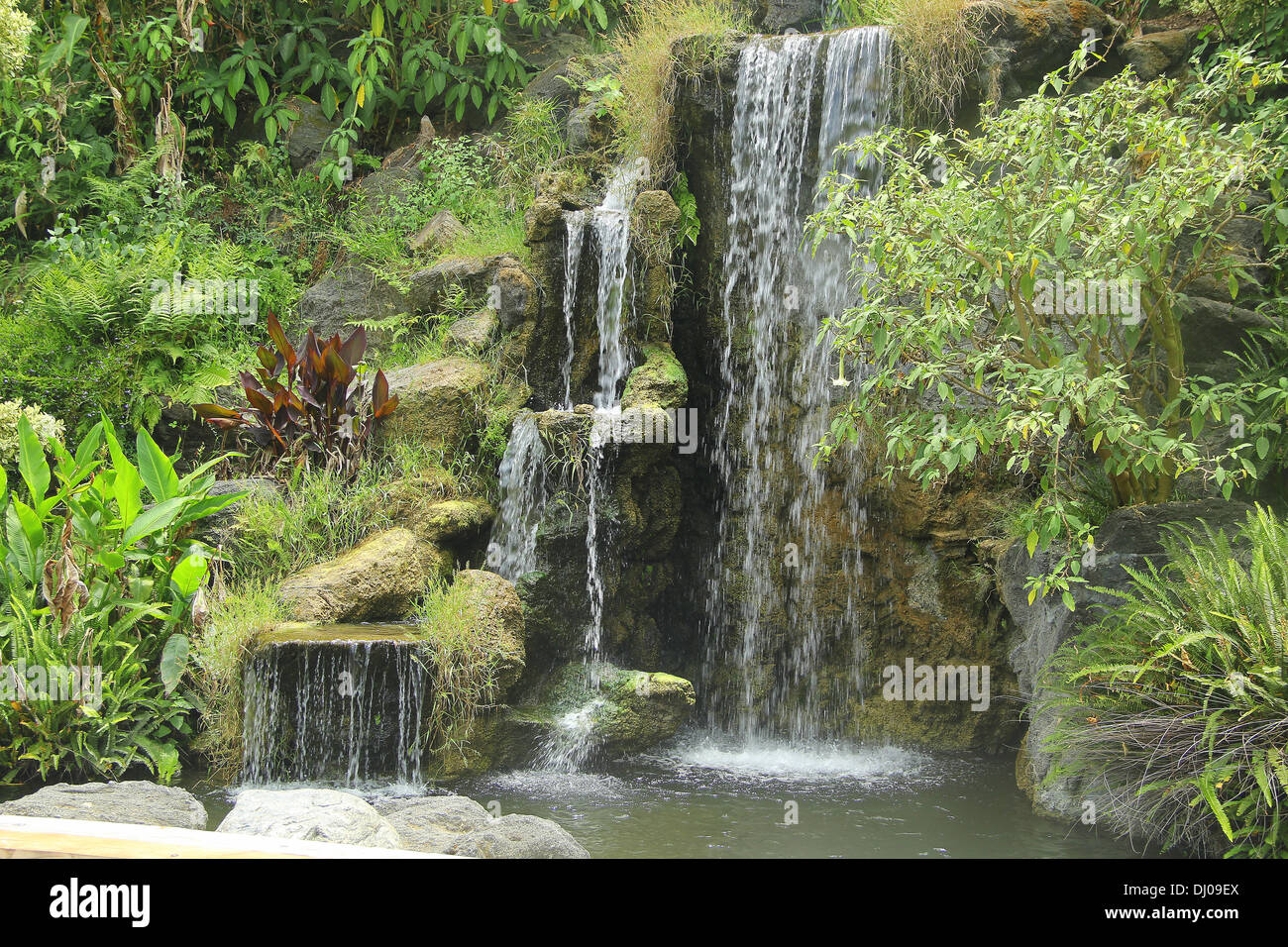 Waterfall in the middle of the forest Stock Photo - Alamy