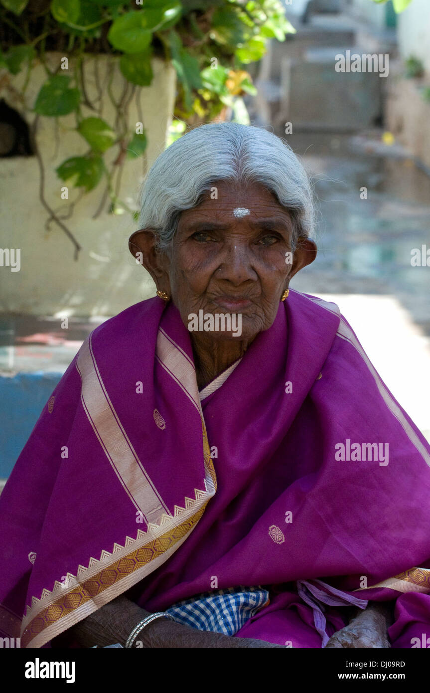 Elegant Little Old Indian Lady With Striking White Hair And Purple