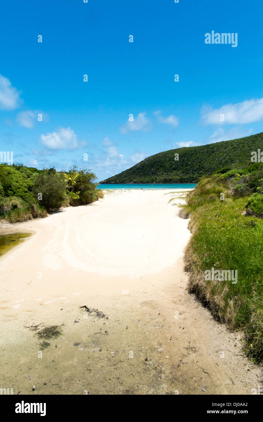 Settlement Beach, Lord Howe Island, Australia Stock Photo Alamy