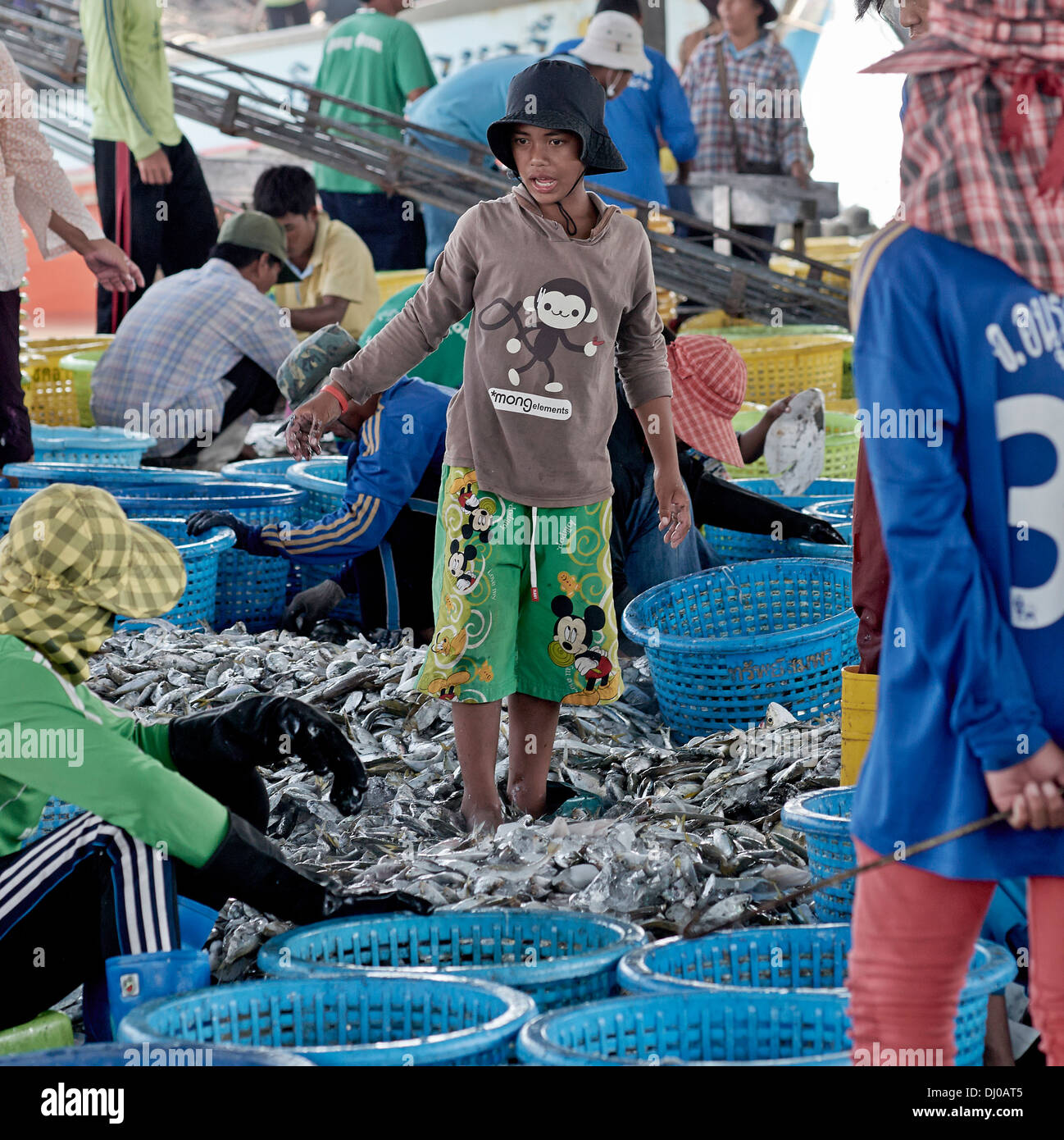 Thailand fish industry. Thai fish market. Sorting fresh fish catch