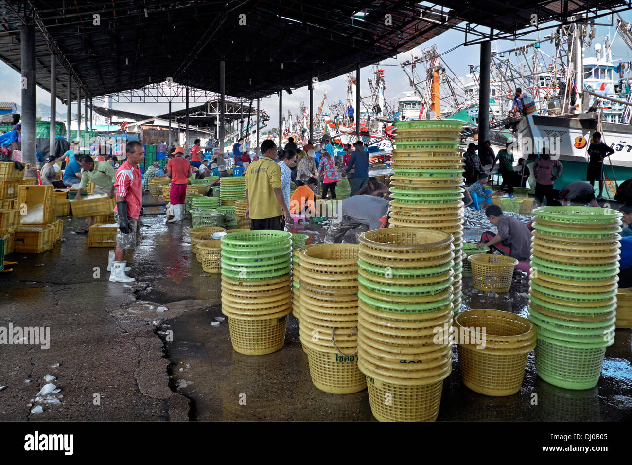 Thailand fish industry. Thai fish market. Sorting fresh fish catch