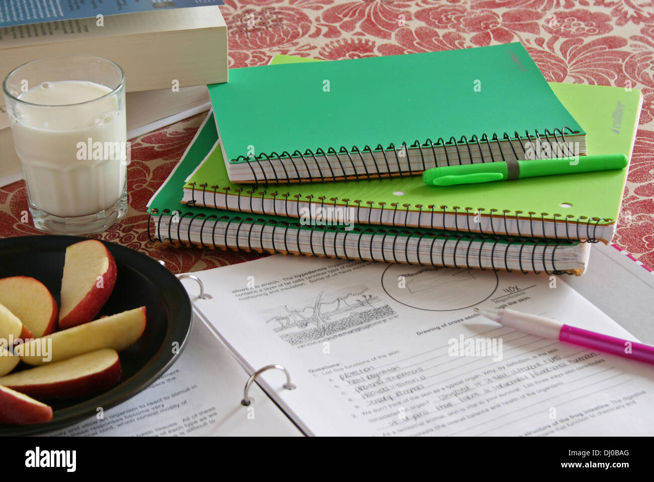 School notebooks and books with apple and milk snack Stock Photo