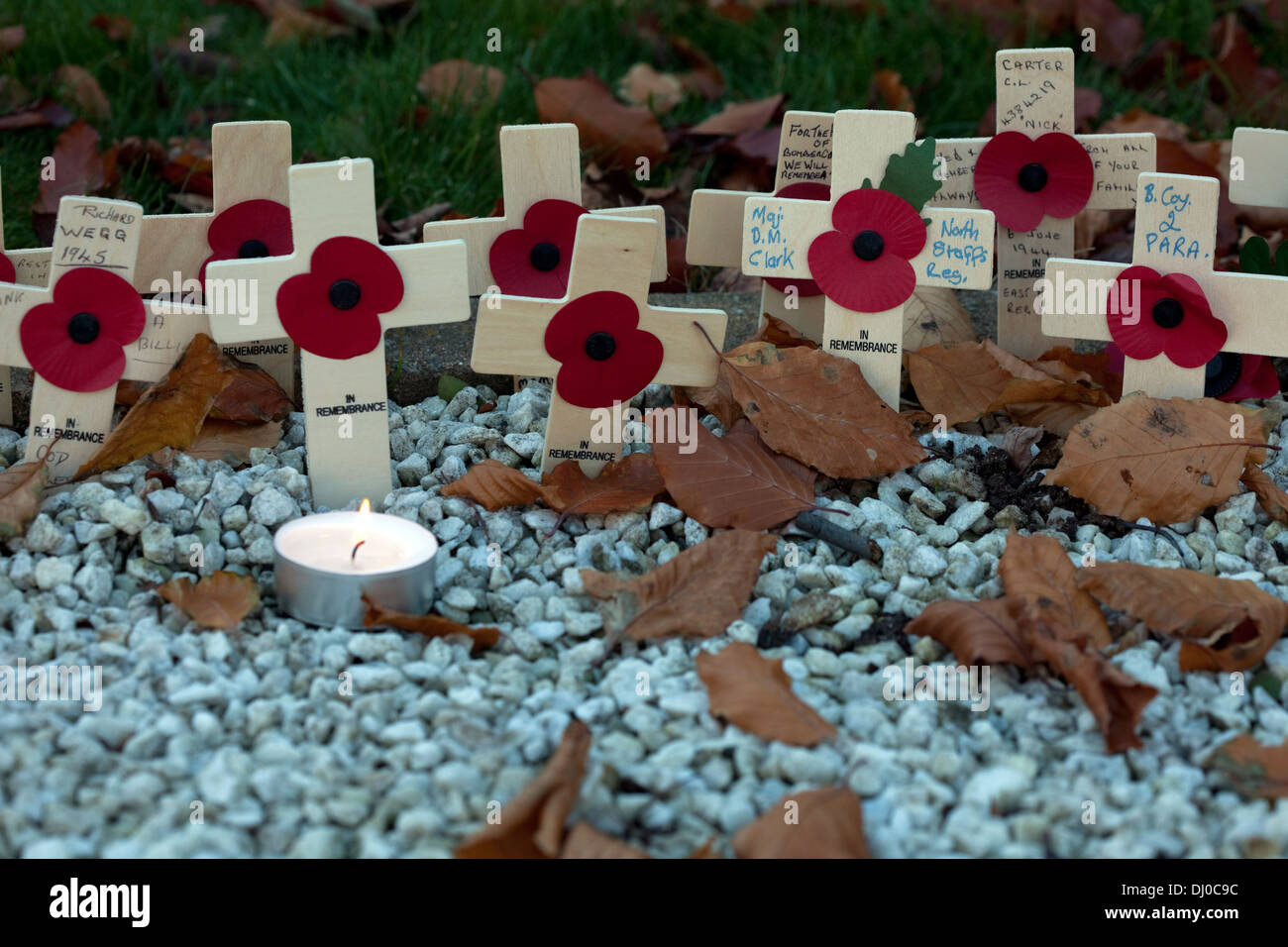 Remembrance Day crosses placed by relatives and loved ones on November 11, 2013 in England, UK Stock Photo