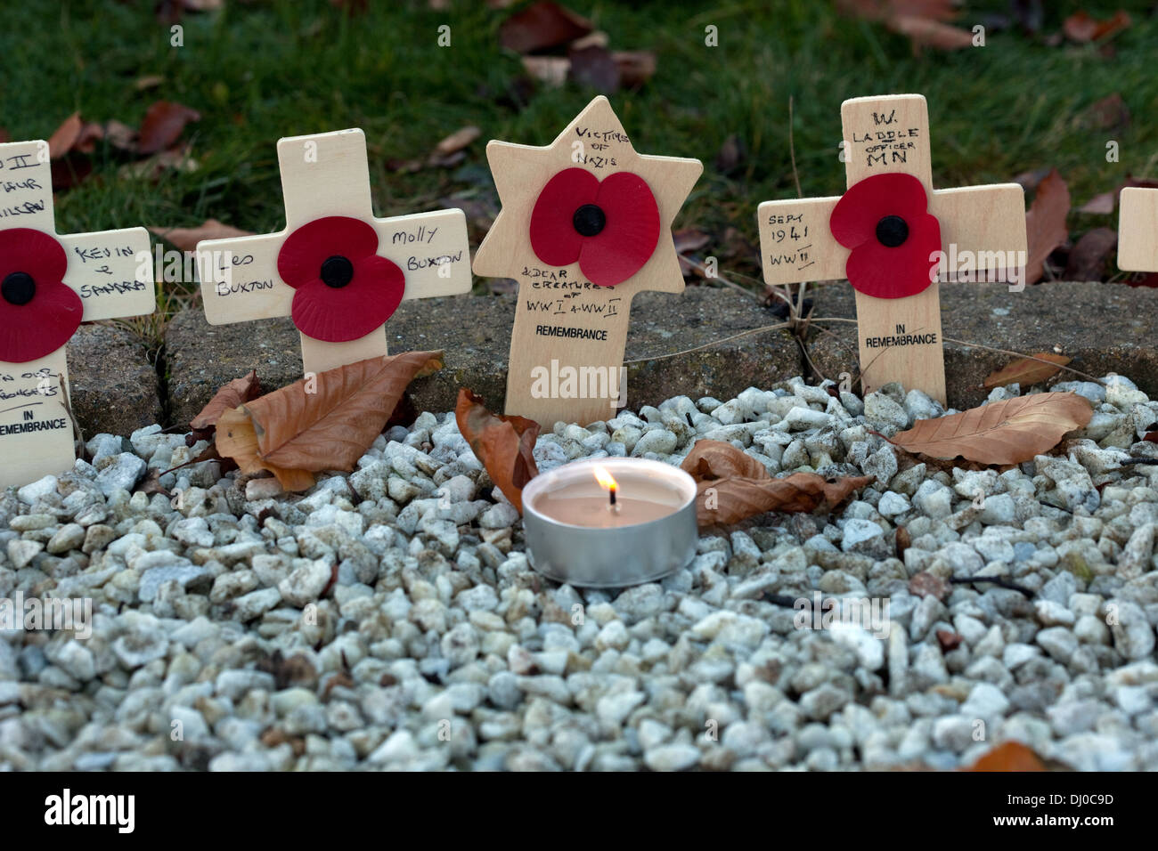 Remembrance Day crosses placed by relatives and loved ones on November 11, 2013 in England, UK Stock Photo