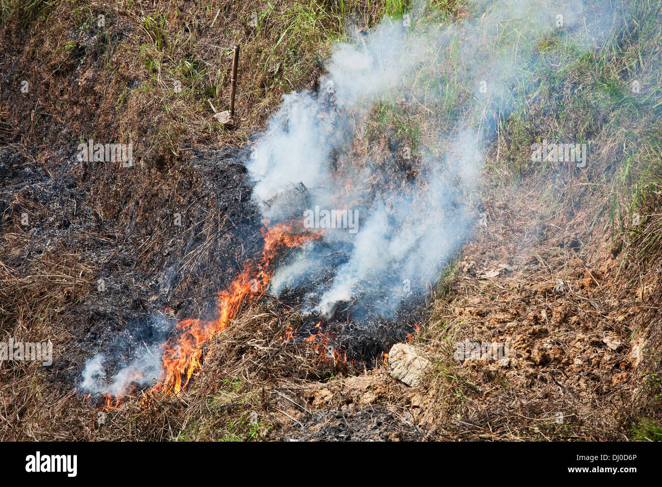 Crop burning rice fields in southern China Stock Photo Alamy
