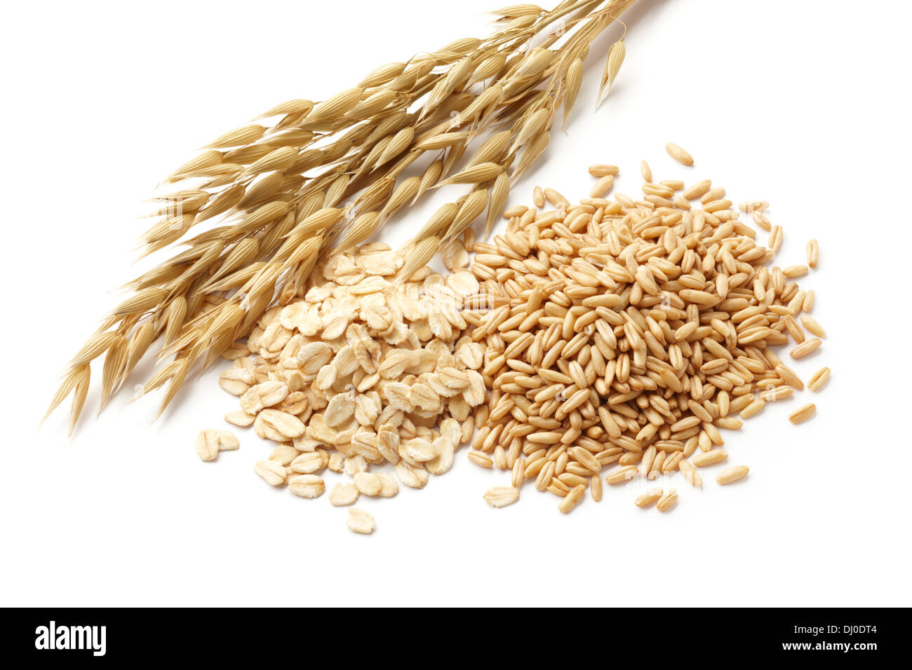 oats (avena) with its processed and unprocessed grains Stock Photo