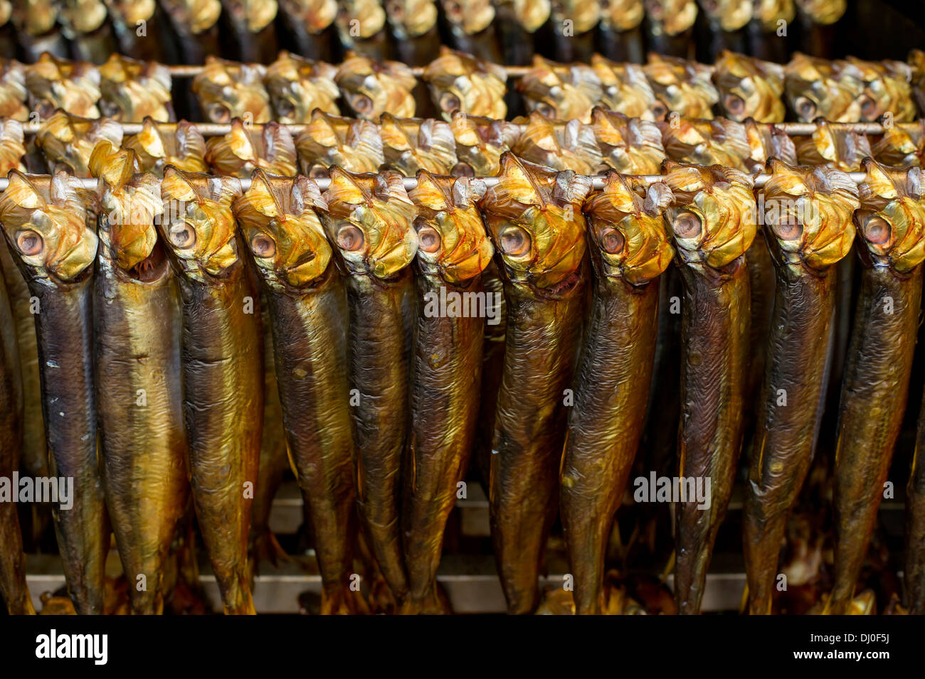 A traditional smokehouse full of herring at the annual herring festival