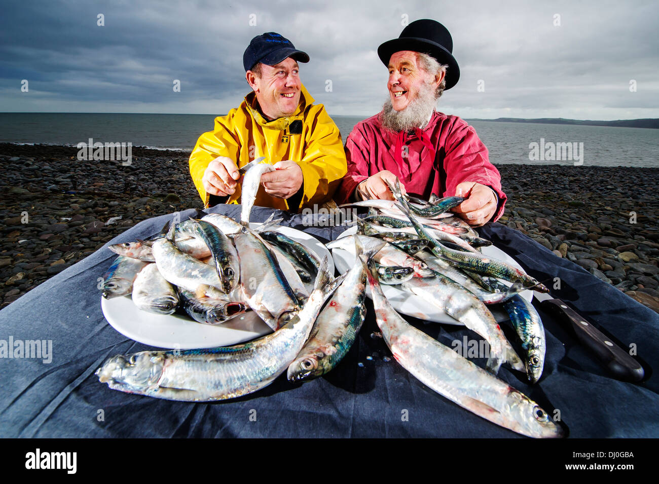 Fisherman Stephen Perham (Left) and Chris Braund prepare herring for the annual Clovelly Herring Festival, Devon, UK Stock Photo