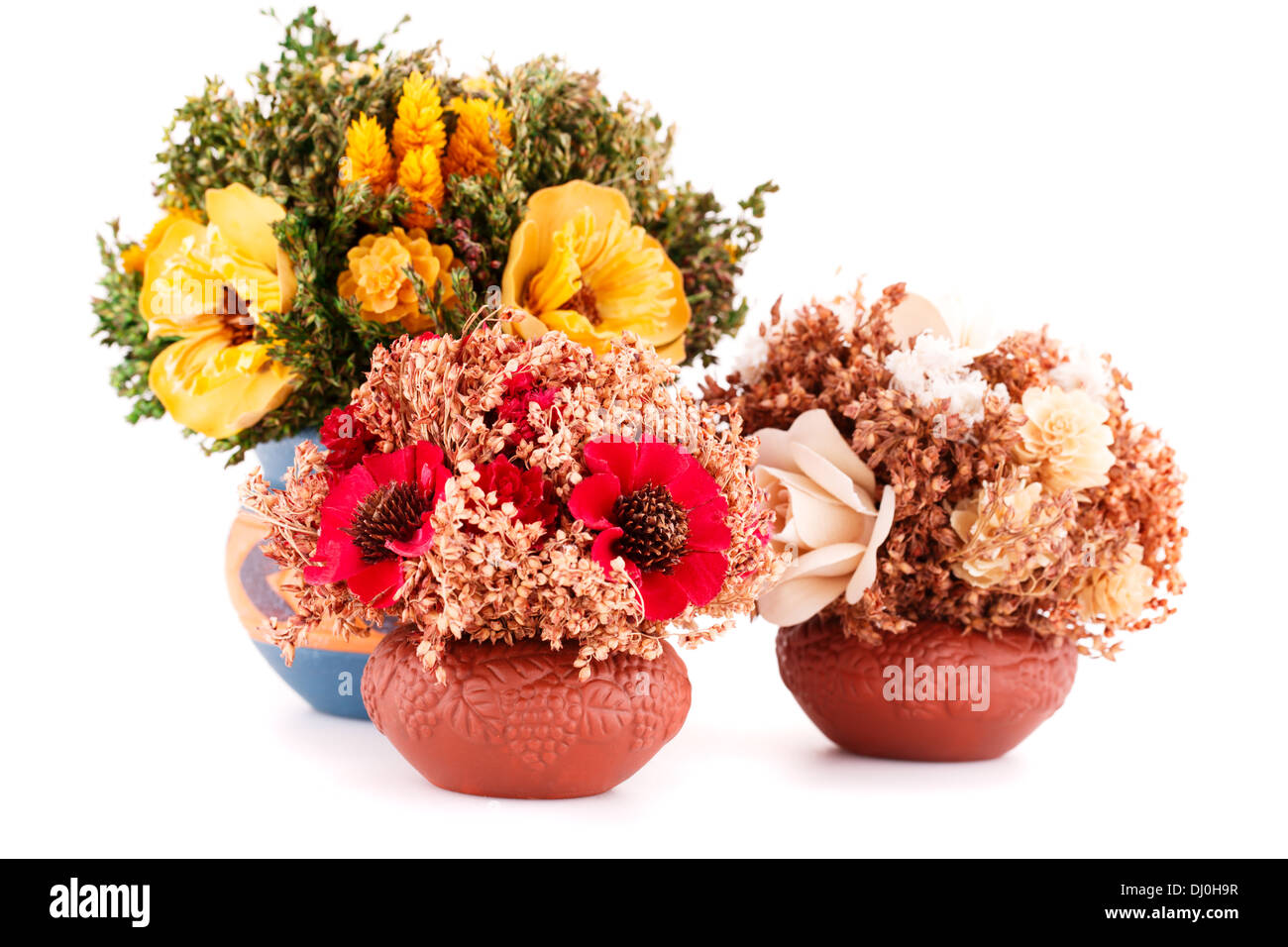 Flowers in vases isolated on white background Stock Photo - Alamy
