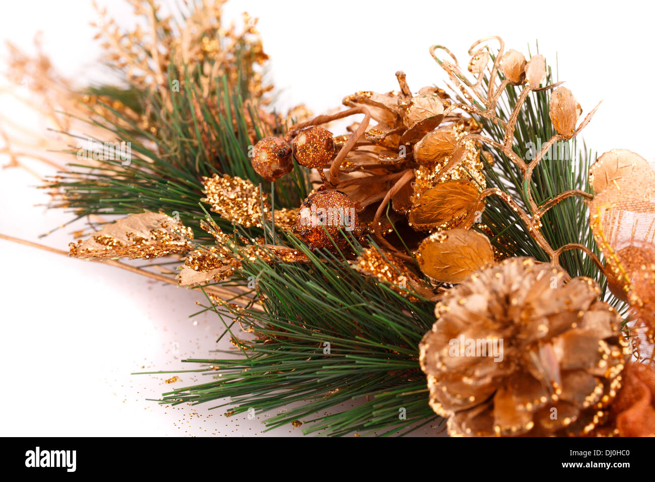 Christmas tree branch with cones on white background Stock Photo - Alamy