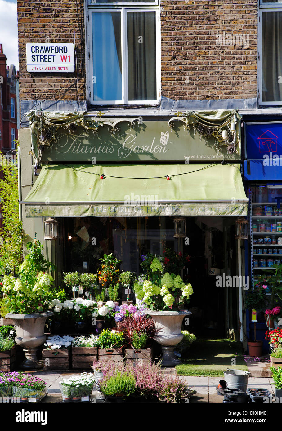 Titanias Garden Flower Shop, Crawford Street, Marylebone, London, England, UK, Europe Stock Photo