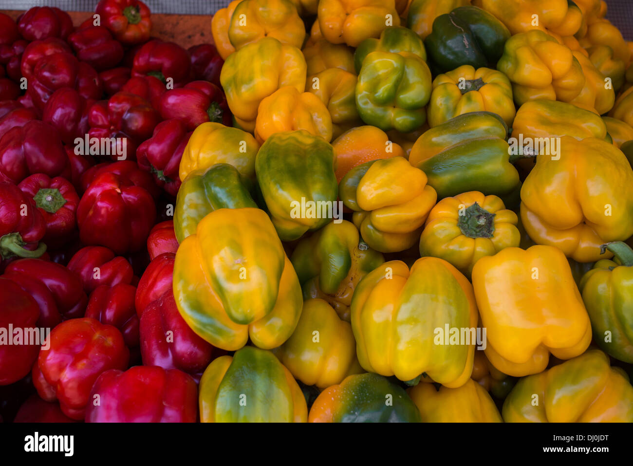 Yellow and red Bell peppers stack on a market stall Stock Photo - Alamy