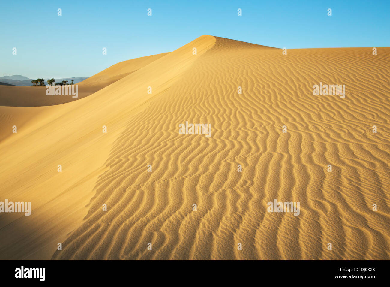 Dunes scenery of Dunas Maspolomas, Gran Canaria, Spain Stock Photo