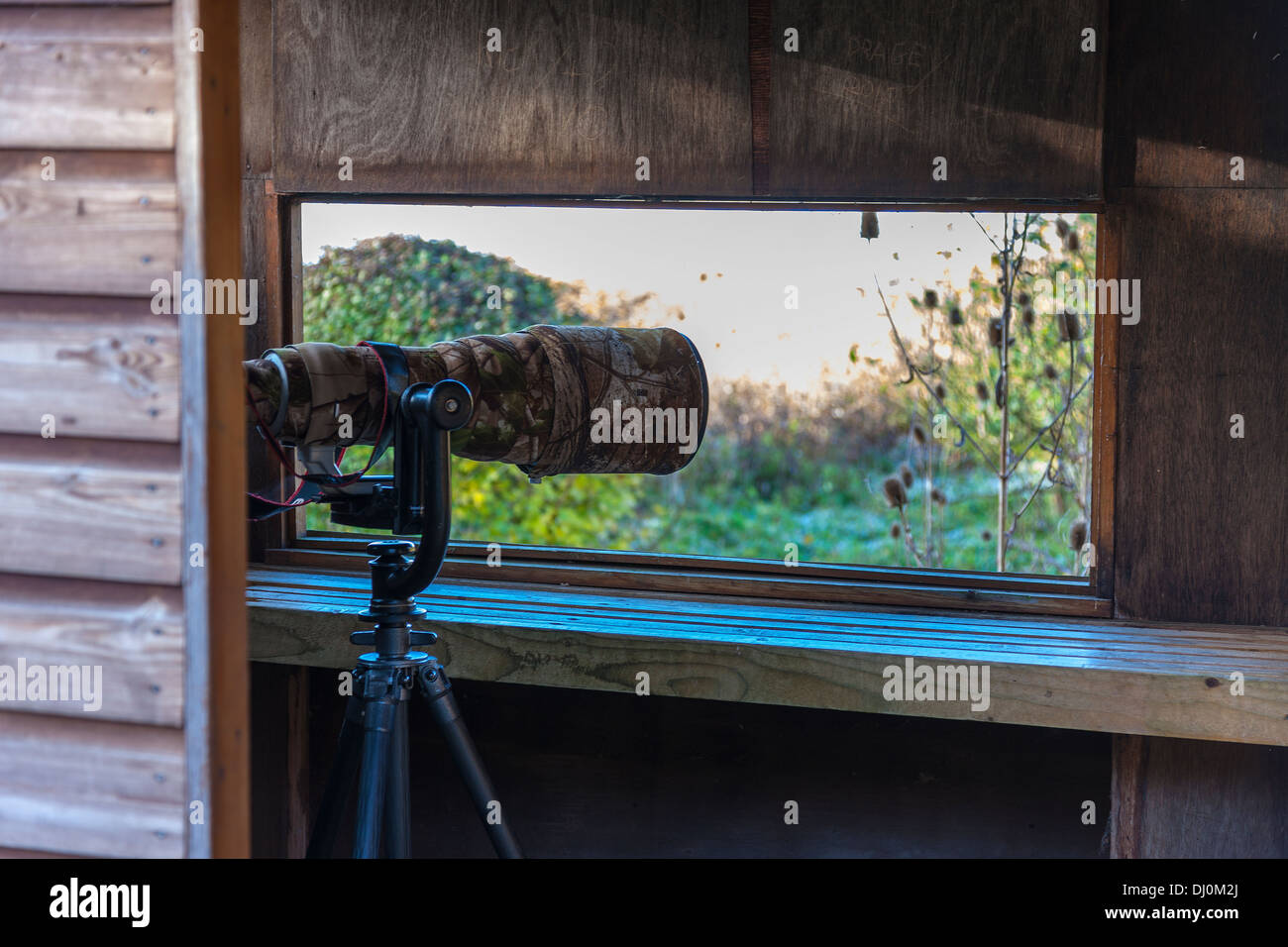600mm lens set up in a bird hid. Stock Photo