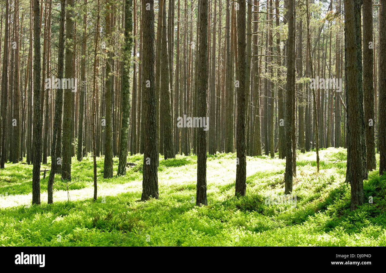 Solar path hi-res stock photography and images - Alamy