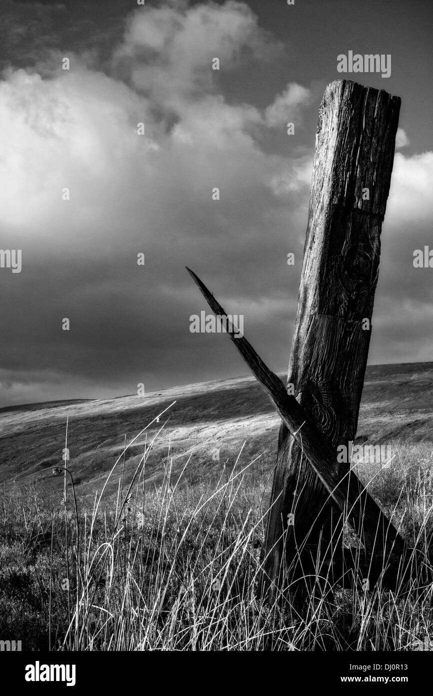 Low angle view of decayed, rotting wooden fence posts; Rotten Railway Sleepers, Cowgill, Dent village in the South Lakeland district of Cumbria, UK Stock Photo