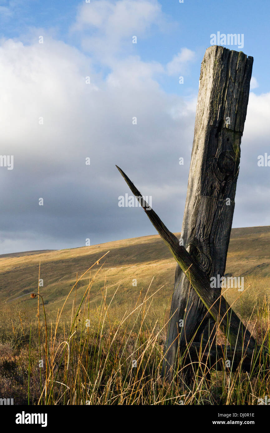 Low angle view of decayed, rotting wooden fence posts; Rotten Railway Sleepers, Cowgill, Dent village in the South Lakeland district of Cumbria, UK Stock Photo