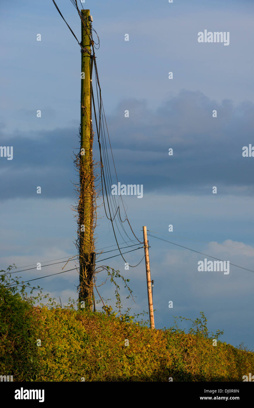 Rural phone lines in bad condition Stock Photo