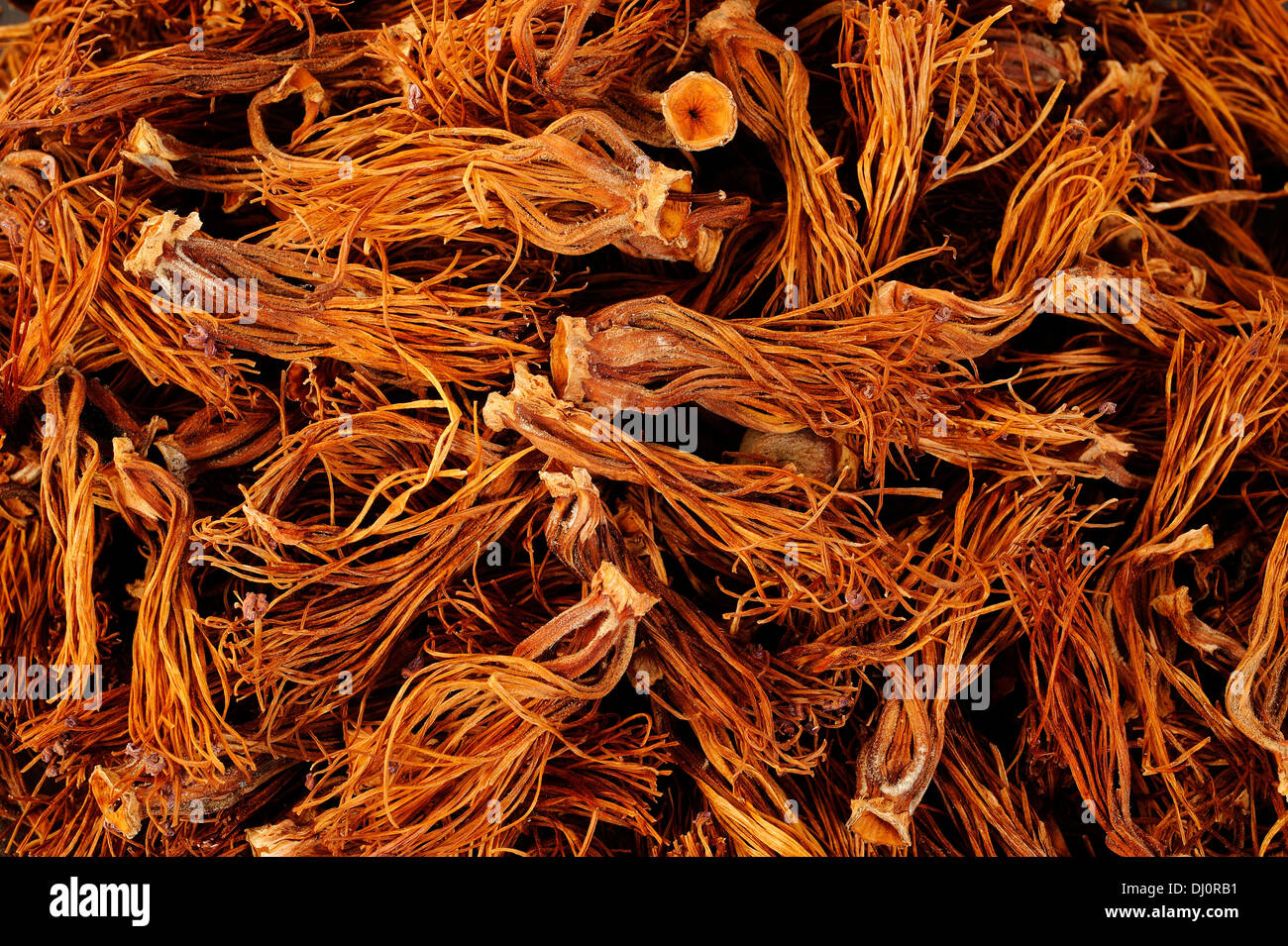 Bombax hi-res stock photography and images - Alamy