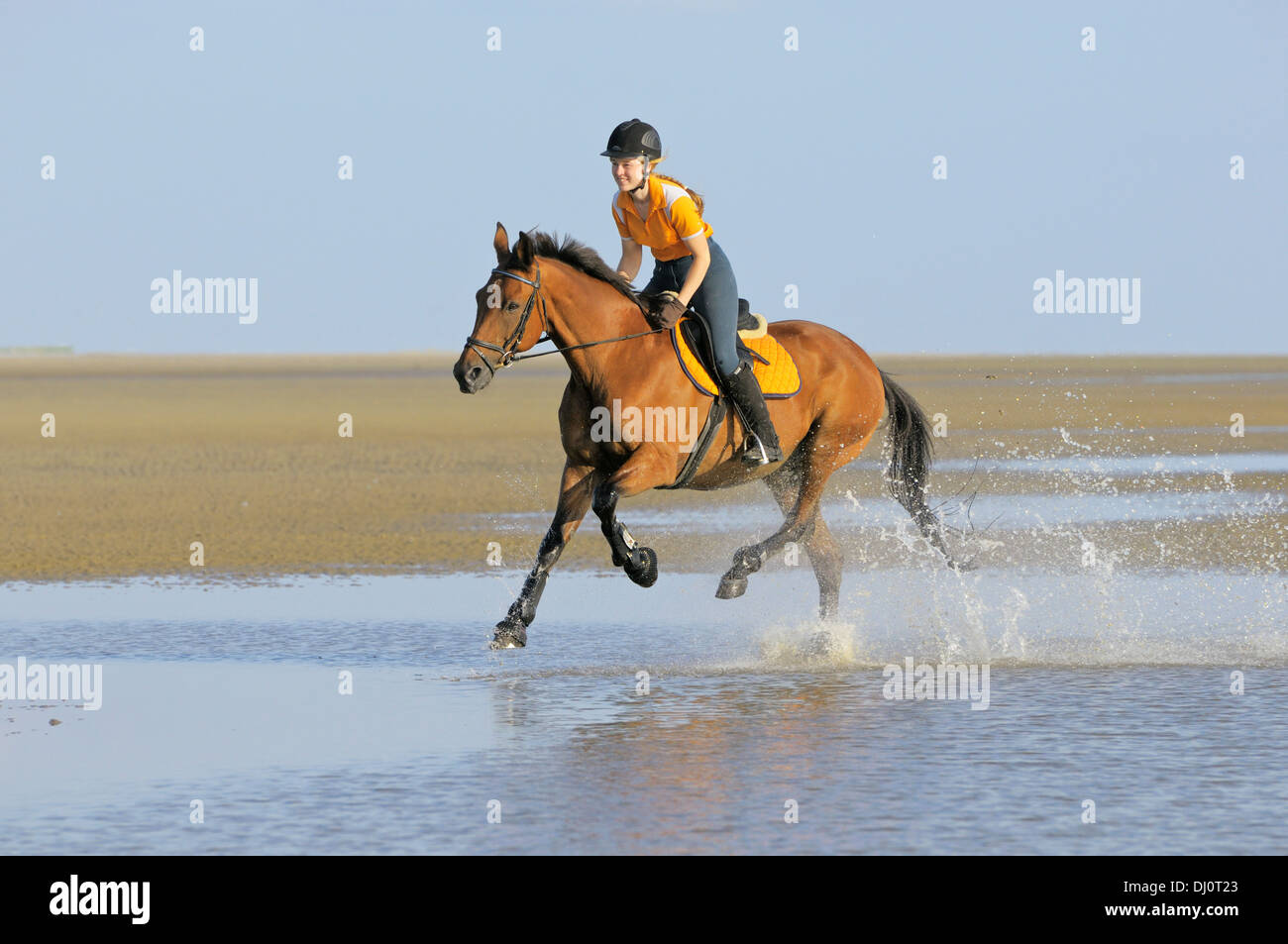Riding in the mudflat of the North Sea (Germany) Stock Photo