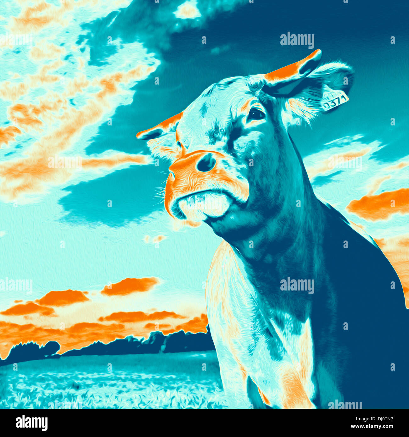 Cow portrait in pop-art style. Portrait de vache façon Pop Art. Stock Photo