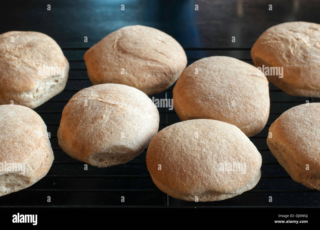 Cooling rack of homemade whole grain hamburger buns Stock Photo Alamy